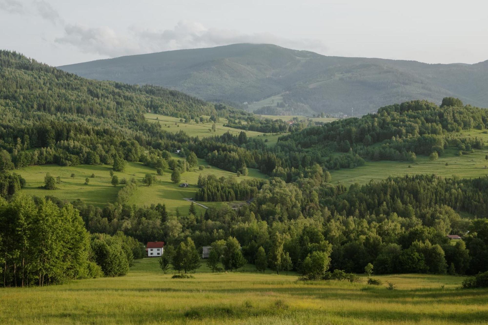 Pod Pilskiem - Sauna I Jacuzzi W Cenie - Krzyzowki - *